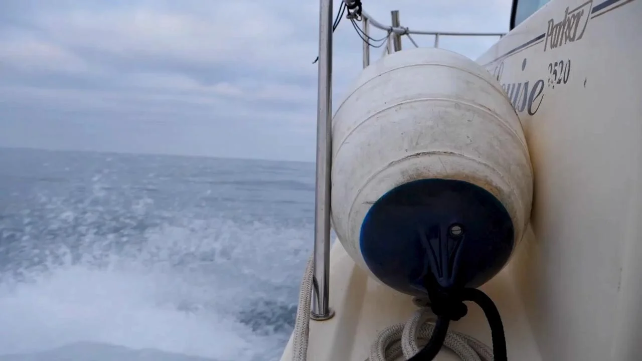 Analysis of Commercial Fishing Report